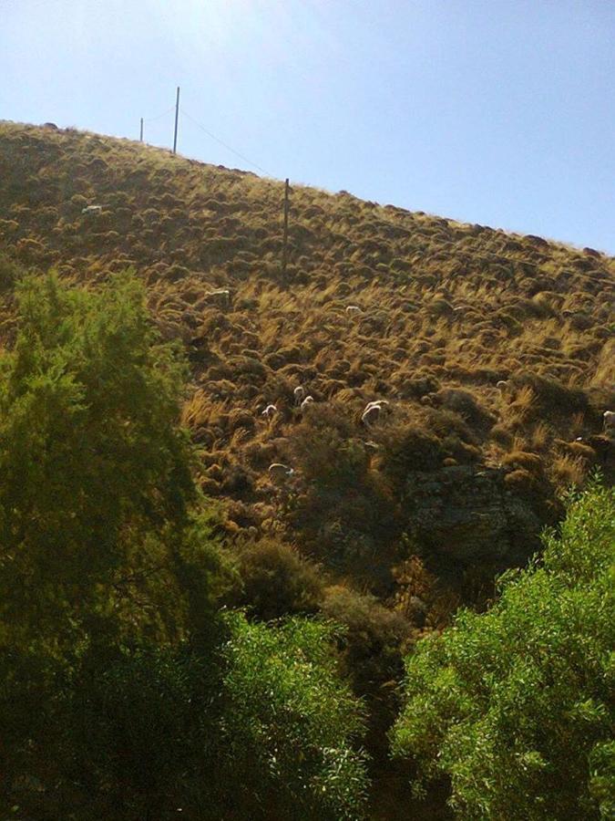 Sifis Pirounakis Anatoli Villa Léntas Esterno foto